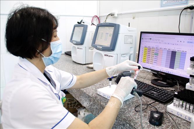 Kỹ thuật viên xét nghiệm quét mã và nhập dữ liệu mẫu máu vào hệ thống, bảo đảm quản lý chính xác. (Ảnh: Đồng Thúy/TTXVN)